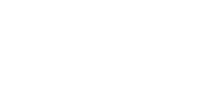 Valbruna México
